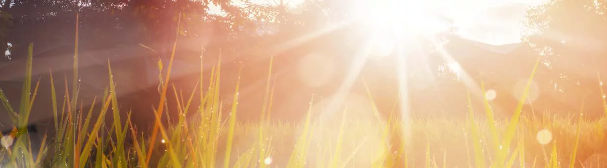 Sustainability at Quanex - Environmental Stewardship - Corporate Responsibility Report