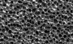 Open-cell vs closed-cell sponge rubber