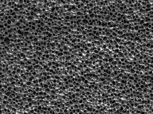Closed-Cell Sponge